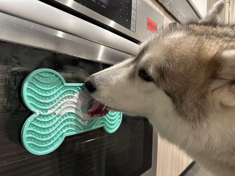 A Siberian Husky lying calmly on a kitchen floor while licking a silicone lick mat, looking relaxed and content