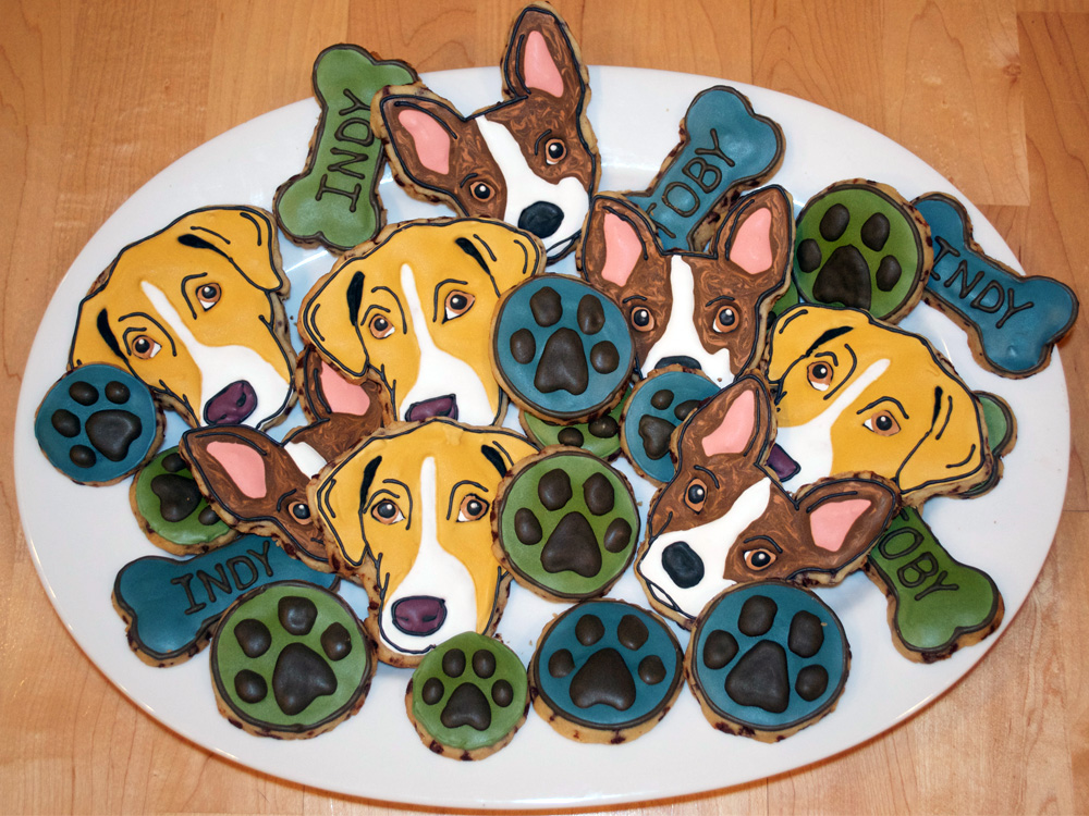 A beagle sitting alert beside a low coffee table with a plate of holiday cookies just out of reach, indoor home photo
