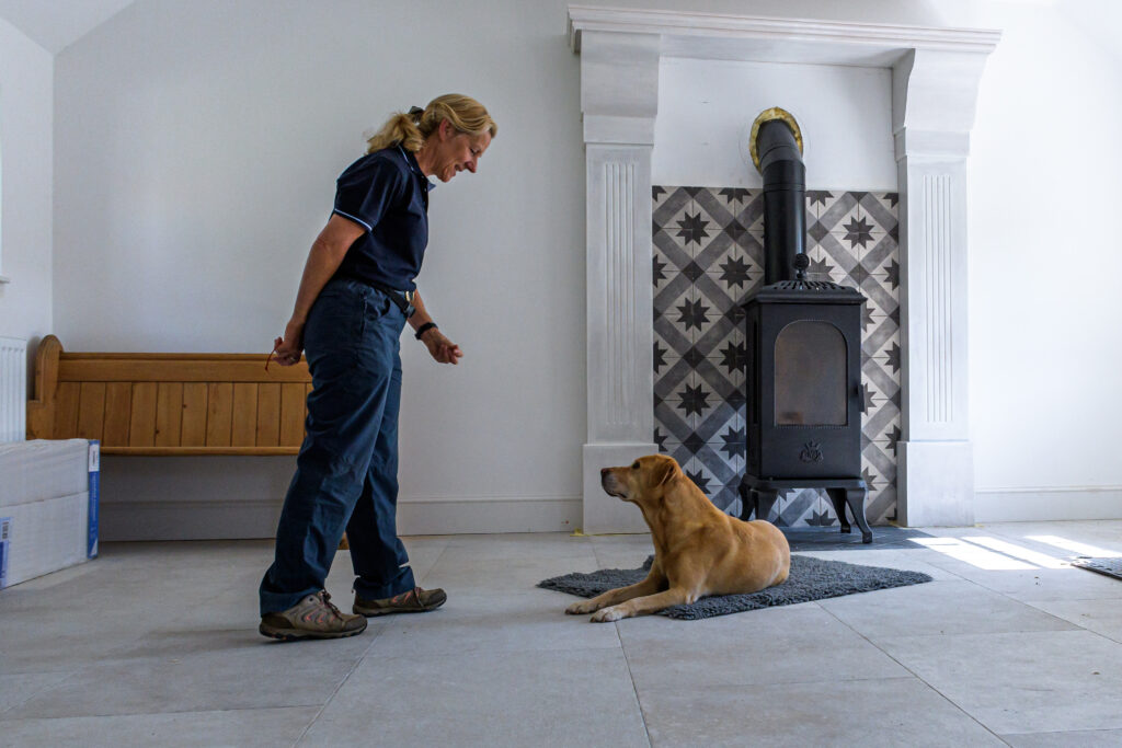 A calm small dog lying on a training mat in a tidy apartment living room while an owner sits nearby with treats, practicing relaxation