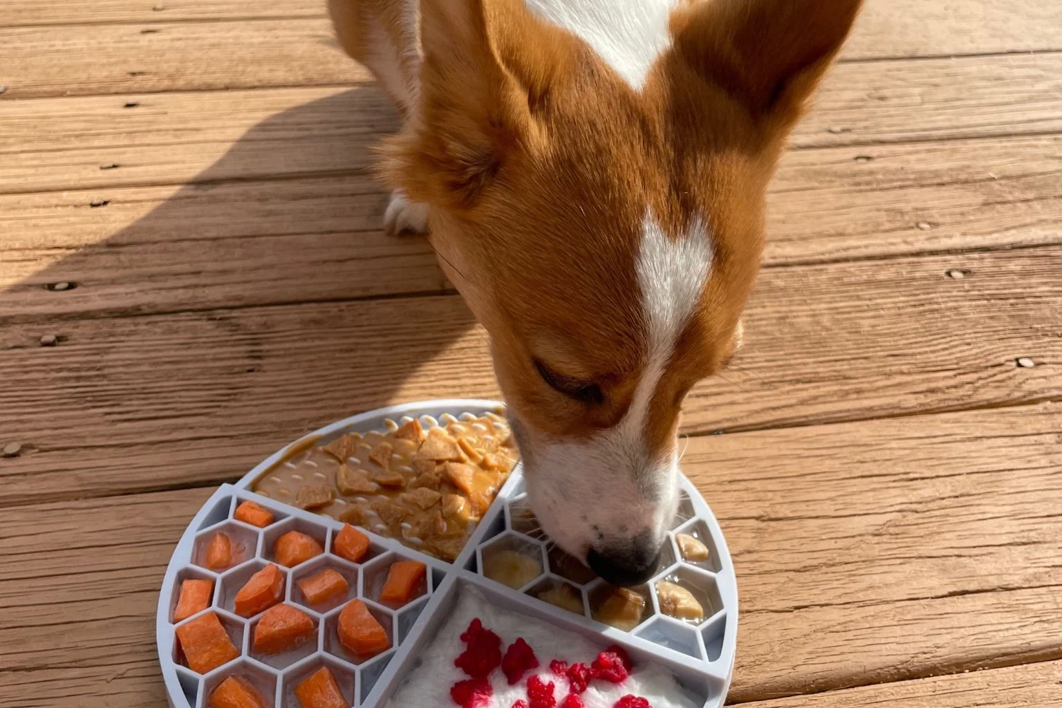 A hand holding a spoonful of canned dog food over a dog bowl with kibble in a home kitchen
