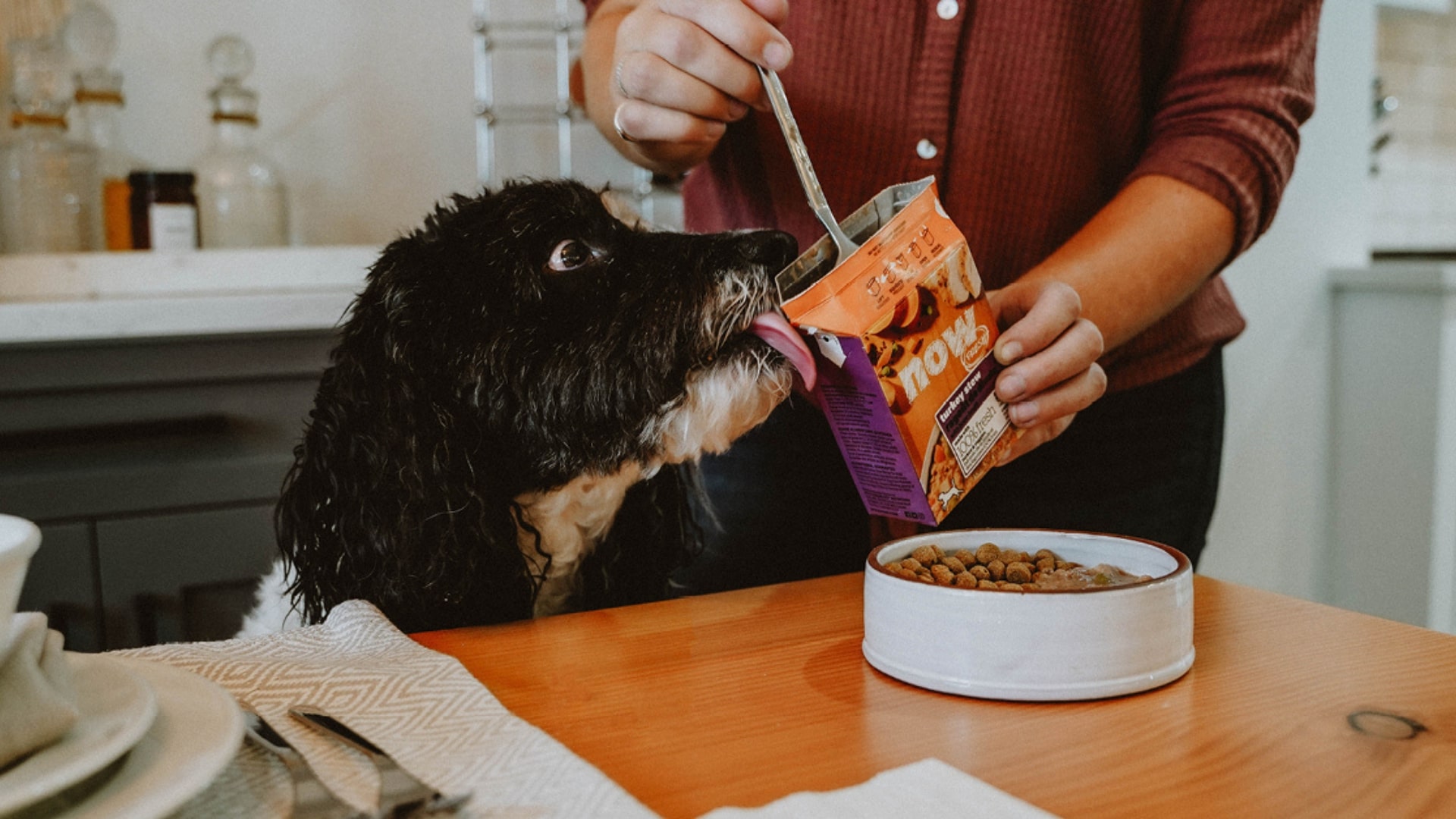 Wet vs. Dry Dog Food: Pros, Cons, and How to Mix Them Safely