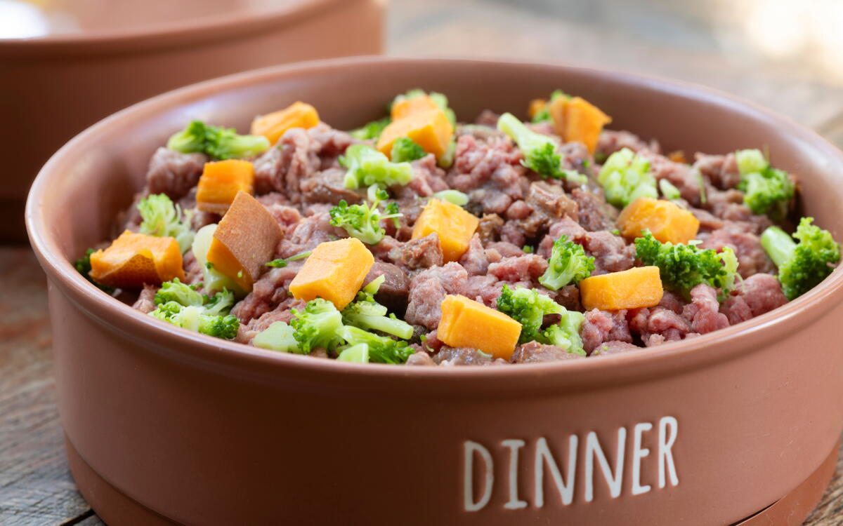 Raw Dog Food Diet: A Beginner’s Guide