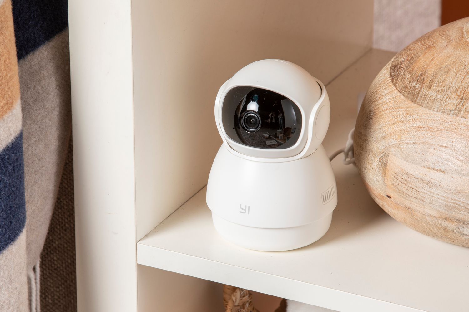 A small dog sitting on a living room rug while a small pet camera sits on a shelf nearby, capturing the dog in a typical home environment