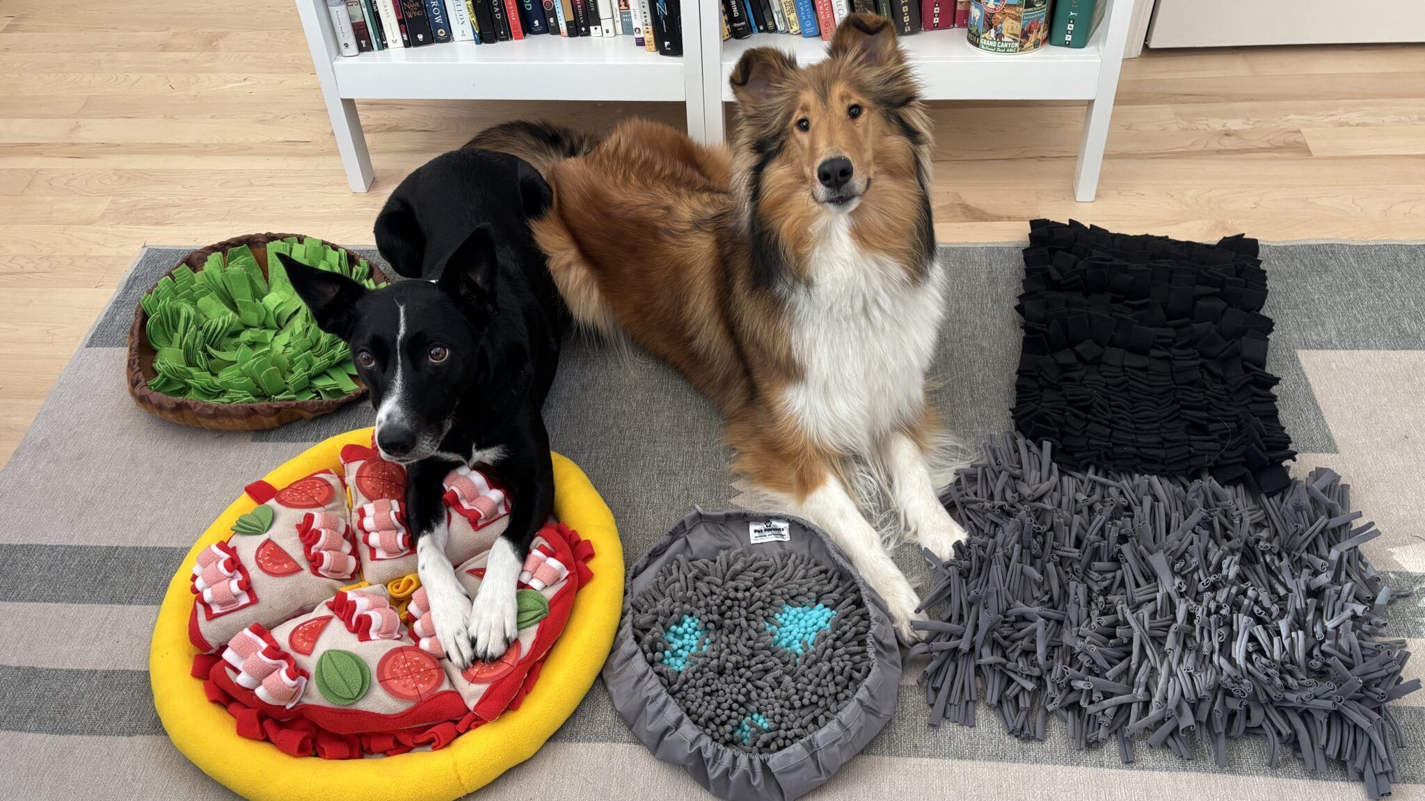 A small dog sniffs and forages for kibble in a fabric snuffle mat on a living room rug.
