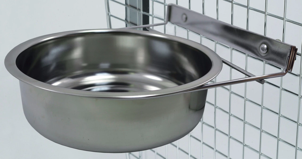 A stainless steel dog water bowl filled with fresh water on a clean kitchen floor with a small white dog nearby